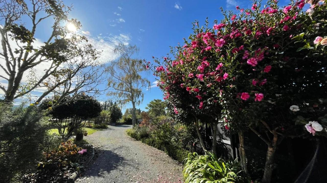 Green Tree Haven Bnb-Riwaka Tasman Bay 外观 照片